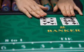 761 win লাইভ কার্ড গেমসে রিয়েল ডিলারের সাথে খেলার দৃশ্য